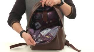 Ted Baker Panthr SKU:8904706