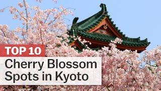 Top 10 Cherry Blossom Spots in Kyoto | japan-guide.com