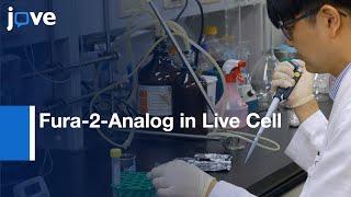 Novel Nicotinamide Adenine Dinucleotide Correction:Intracellular Ca2+ Measurement l Protocol Preview