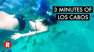 3 Minutes of Cabo // Travel to Cabo San Lucas, Mexico 