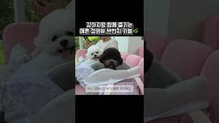 "강아지랑 힐링 제주 예쁜 정원 브런치카페, 맛까지 완벽해!"