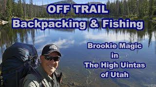 Solo Off Trail Backpacking & Fishing in the High Uintas of Utah, Part 1 of 2. #uintas #backpacking