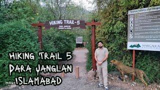 Hiking in Margalla Hills Islamabad | Trail 5 - Discovering stunning hiking spot!