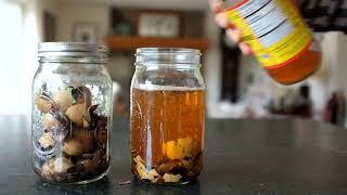 How to Make Vinegar Extractions from shells, bones or other resources.