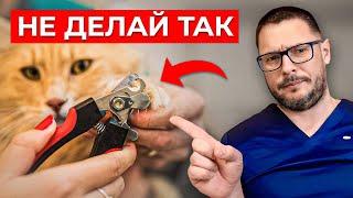 Ты Делаешь ему Больно! Как правильно ОБРЕЗАТЬ КОГТИ ПИТОМЦУ?