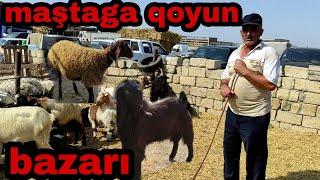 Maştaga Qoyun Bazarı 22.08.2021