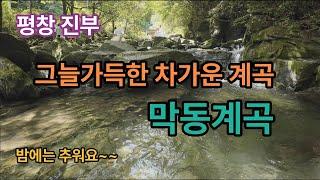 [평창계곡]그늘가득 물맑은 막동계곡 / 열대야 없고 밤에는 추워요