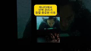  May 21 한국에 혈연 지연 학연이 있다면 캐나다엔 이것?/ 비전공 플룻 연주자는 공연 반주로 얼마 벌까? #shorts