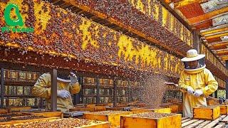 How Mega BEE Farms Raise Billions Bees And Process Millions Tons Of Honey | Honey In Factory