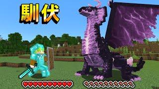 Minecraft 最強古龍，擊敗後能馴服『9種傳說巨大飛龍』生存，每種體型都超級誇張