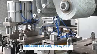 DPP-260 blister packing machine advantages overview #pharmaceutical #machines #foodpackaging