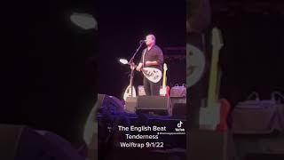 The English Beat #theenglishbeat #tenderness #concert #80’smusic #wolftrap #80’s