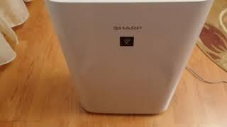 Sharp air purifier UA-HD40E-L review