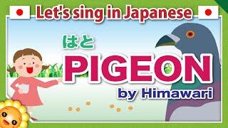 【HATO/はと/Pigeon】Japanese children's songs and nursery rhymes｜by Himawari