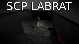 WE BLINK??? | SCP LabRat | Horror Gameplay | Coop