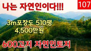 자연인토지ㅣ청도군 운문면 해발600고지 3m도로 따라 계곡근접한 510평 농지[전] 매매.[문의01035080070]