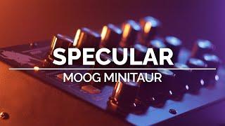 Specular | Moog Minitaur