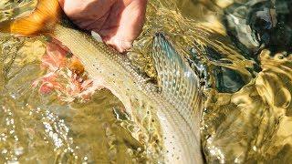 Fishing BC Presents: Fishing Remote Rivers near Prince George with April Vokey