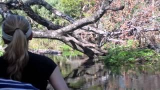 Canoeing on Juniper Springs, Silver Springs Florida