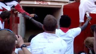 The Bull of Pamplona