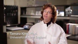 Dr. Tamara King: Student Research Opportunities