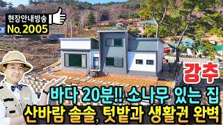 (강추) 바다 20분 산바람 솔솔 부는 전원주택 매매 운치 있는 소나무와 40평의 넓은 실내와 텃밭 주차공간 다락 있는 읍내 5분 생활권까지 완벽한 서천부동산 - 발품부동산TV