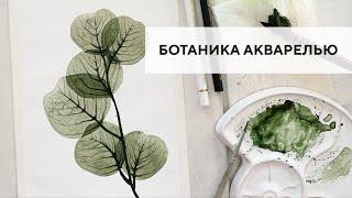 Ботаническая иллюстрация акварелью / Botanical illustration with watercolor