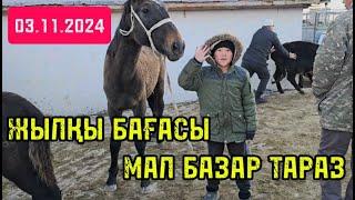 ЖЫЛҚЫ БАҒАСЫ 03.11.2024 МАЛ БАЗАР ТАРАЗ / HORSES MARKET