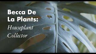 Becca De La Plants: Houseplant Collector