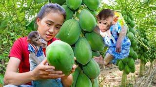 Sweetest Harvest: MiMi and Mom Gather Ripe Papayas for a Delicious Dinner