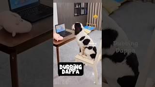 Sogamaana Climax  #funny #dog #shorts #dogs #shortsfeed #animals #dubbingdappa #dogvideos #pets