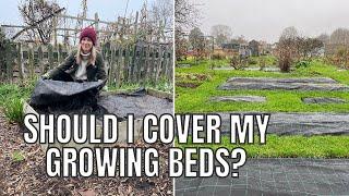 SHOULD I COVER MY GROWING BEDS FOR WINTER?? / ALLOTMENT GARDENING UK