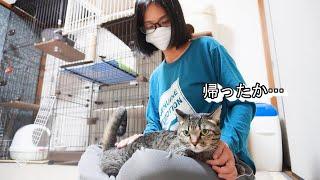 退院した子猫に容赦ないアウト判定！