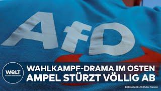 UMFRAGEN-SCHOCK: AfD auf Siegeskurs - Droht Thüringen das erste AfD-geführte Bundesland?