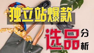 【独立站运营0-1】第二节：独立站选品思路，Shopify选品策略经验分享，如何发现爆款产品......