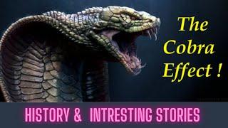 Interesting story of cobra effect | Intresting fact of Cobra effect