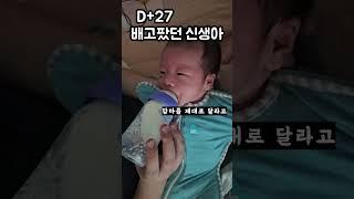 D+27 배고픈 신생아 분유먹방 #신생아 #아기