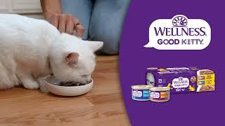 Wellness Good Kitty: Learn with Dr. Danielle