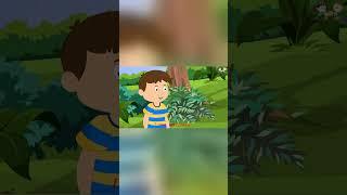 MY GARDEN!! #shorts #ytshorts #learnenglish #rhymes #nurseryrhymes #cocomelon #chuchutv