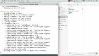 119 - Creating a Podfile to Manage Dependencies.mp4