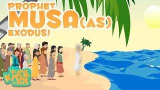 Prophet Stories In English | Prophet Musa (AS) | Part 4 | Stories Of The Prophets | Quran Stories