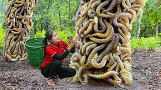 WOMEN Harvesting PALM SUGAR LARVAE Goes to market sell - Green Forest Life | Ella Daily Life