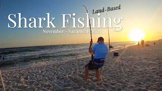 November Shark Fishing Draws a Crowd! - Navarre Beach, Florida