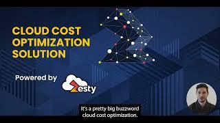 Product Walkthrough: Cloud Cost Optimization Solution Powered by Zesty