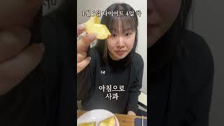 다이어트 중에 야식 먹는 꿀팁