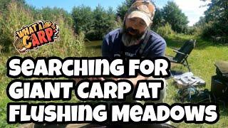 SEARCHING FOR GIANT CARP AT FLUSHING MEADOWS FISHERIES