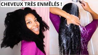 Routine Shampoing Quand Je N'ai Pas Le Temps De Démêler Mes Cheveux | Produits Shea Moisture