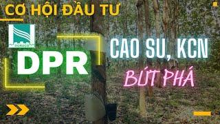 Cơ hội đầu tư DPR: Hưởng lợi kép từ giá cao su vượt đỉnh và BĐS KCN [Phần 1] | Phân tích cổ phiếu