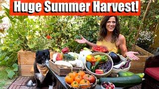 Huge Organic Summer Harvest From the Garden Grocery Store 🫑