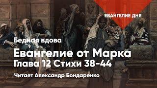 Бедная вдова | Евангелие дня | Мк. 12:38-44